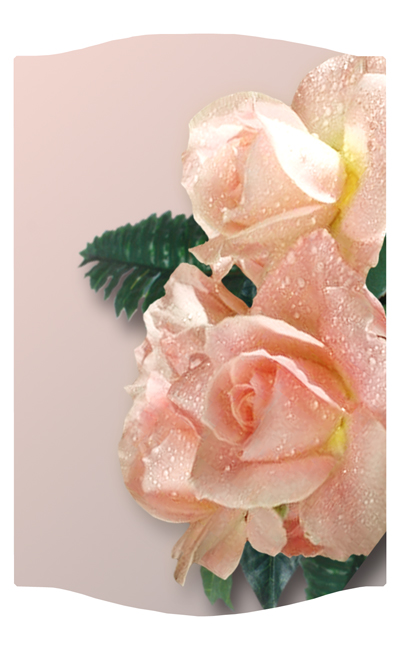 DNSLOG C 062 Bouquet Of Roses Peach 